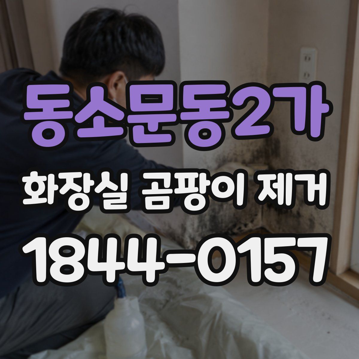 동소문동2가 화장실 곰팡이 제거