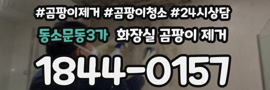 동소문동3가 화장실 곰팡이 제거