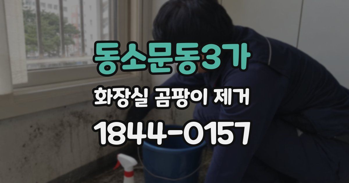 동소문동3가 화장실 곰팡이 제거