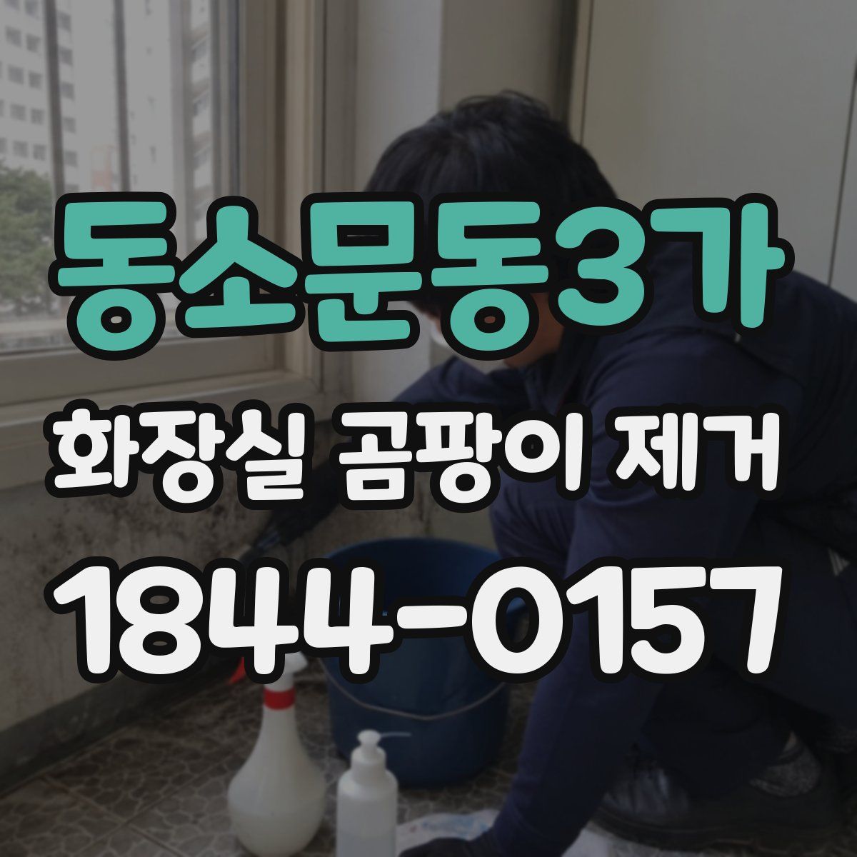 동소문동3가 화장실 곰팡이 제거