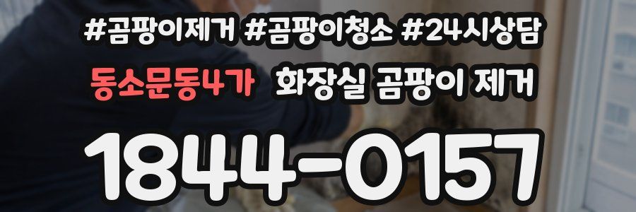 동소문동4가 화장실 곰팡이 제거