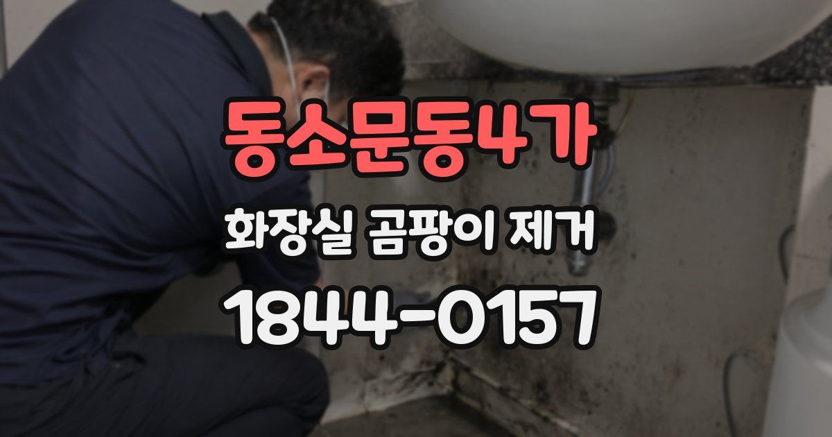 동소문동4가 화장실 곰팡이 제거
