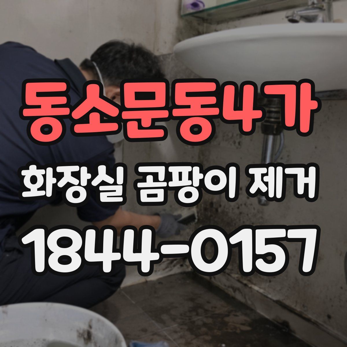 동소문동4가 화장실 곰팡이 제거