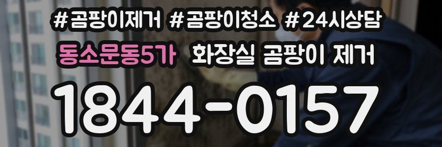 동소문동5가 화장실 곰팡이 제거