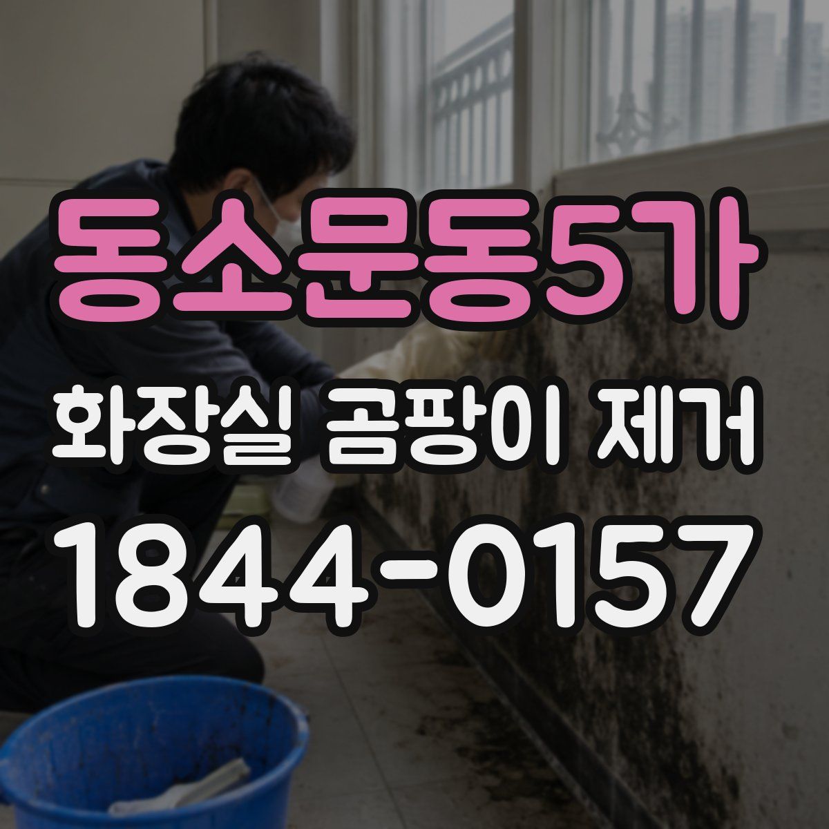 동소문동5가 화장실 곰팡이 제거