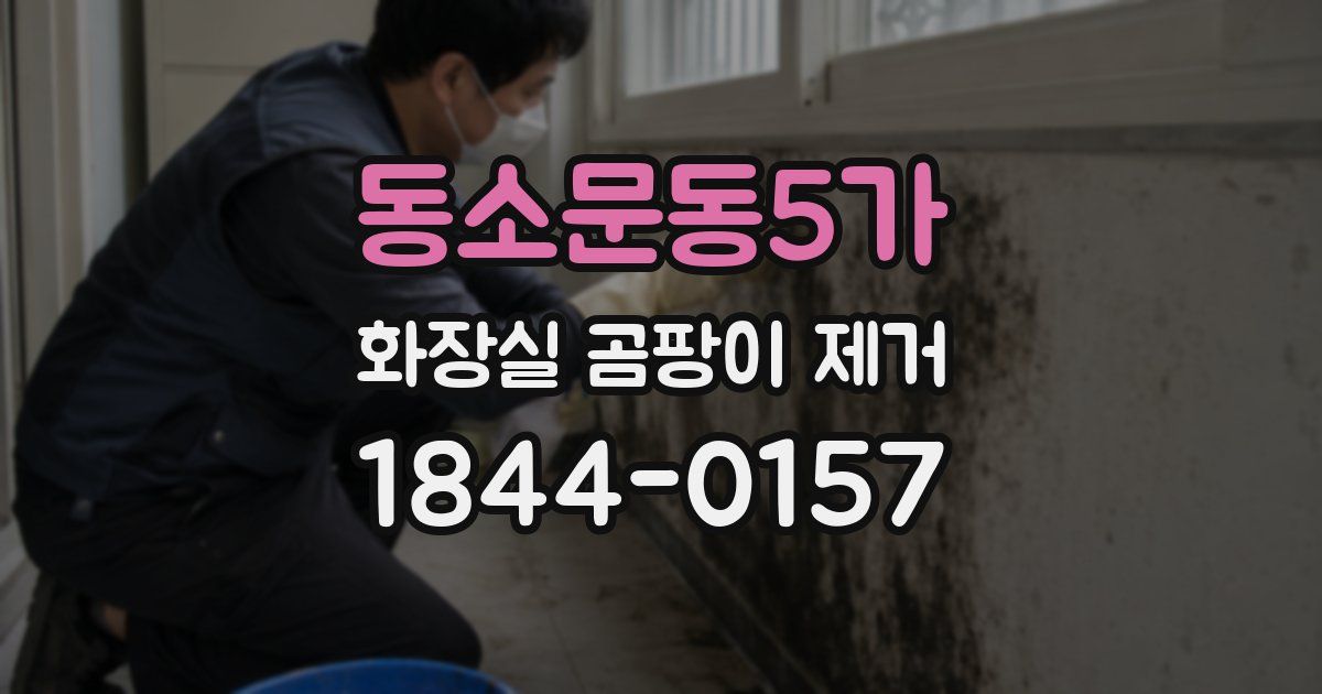동소문동5가 화장실 곰팡이 제거