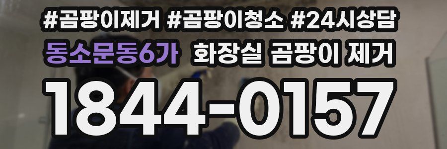 동소문동6가 화장실 곰팡이 제거