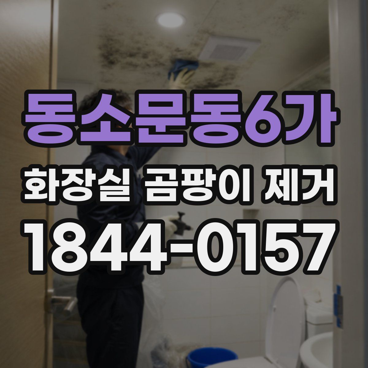 동소문동6가 화장실 곰팡이 제거