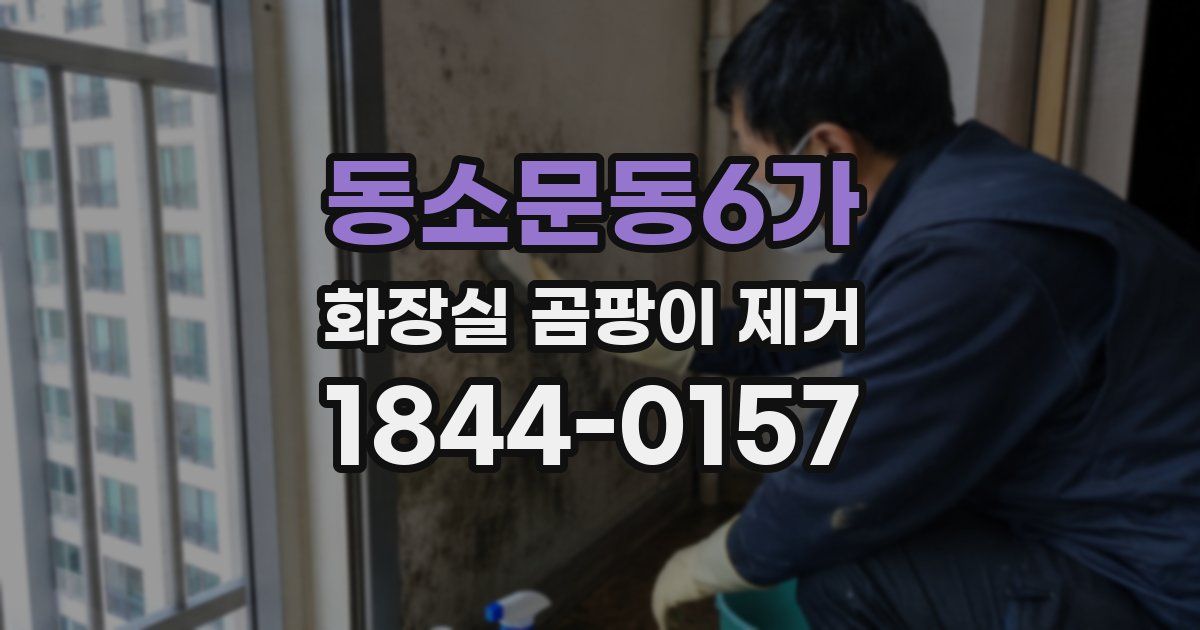 동소문동6가 화장실 곰팡이 제거