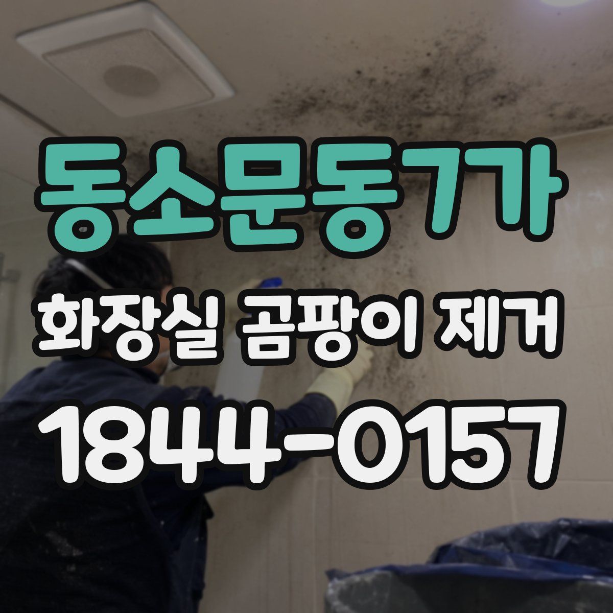 동소문동7가 화장실 곰팡이 제거