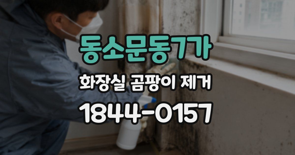 동소문동7가 화장실 곰팡이 제거