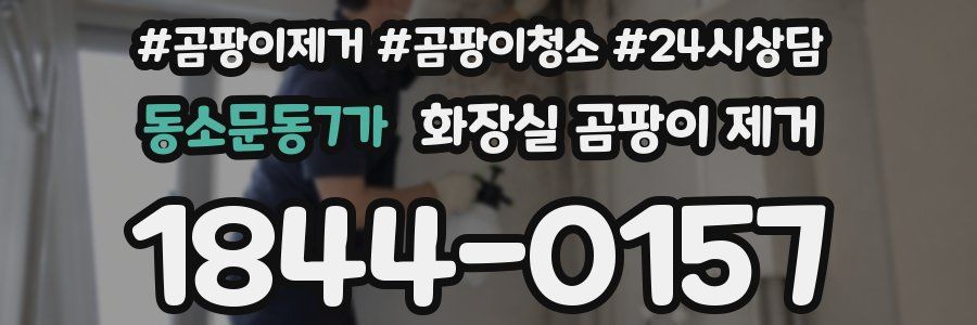 동소문동7가 화장실 곰팡이 제거