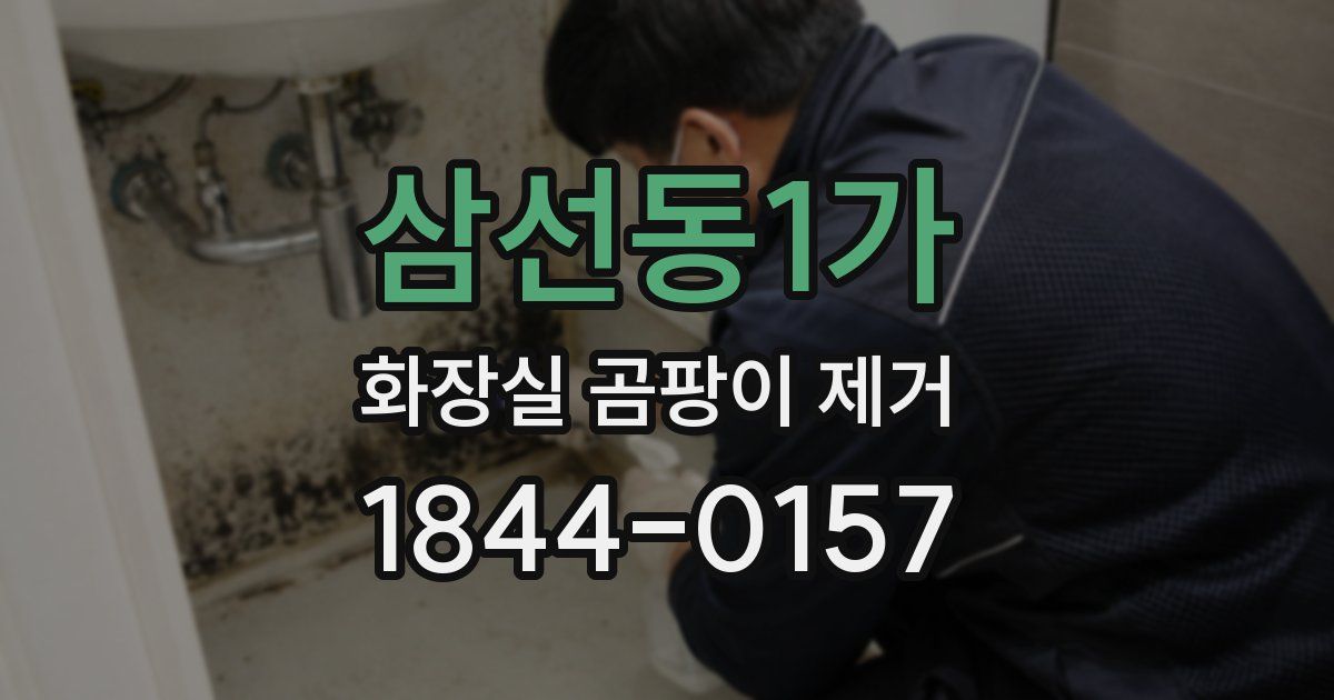 삼선동1가 화장실 곰팡이 제거