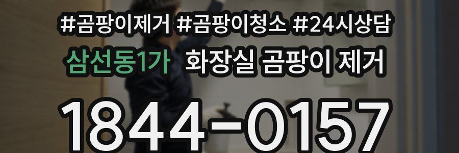 삼선동1가 화장실 곰팡이 제거