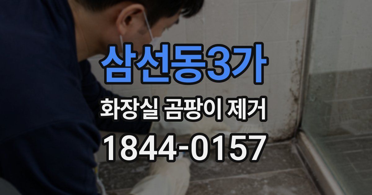 삼선동3가 화장실 곰팡이 제거