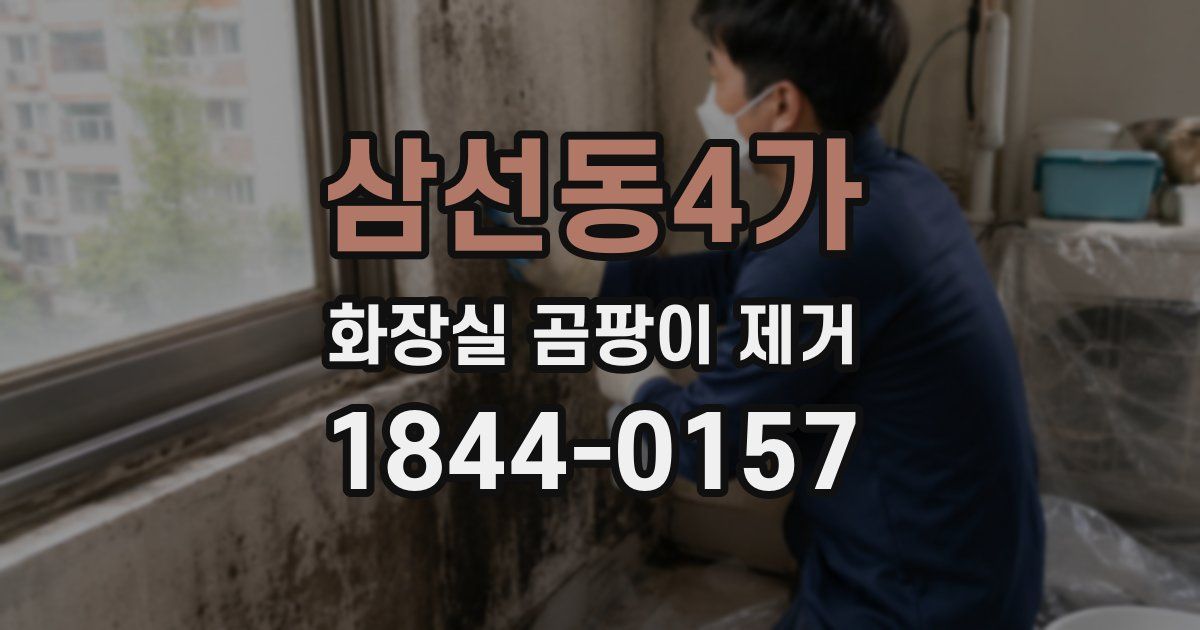 삼선동4가 화장실 곰팡이 제거