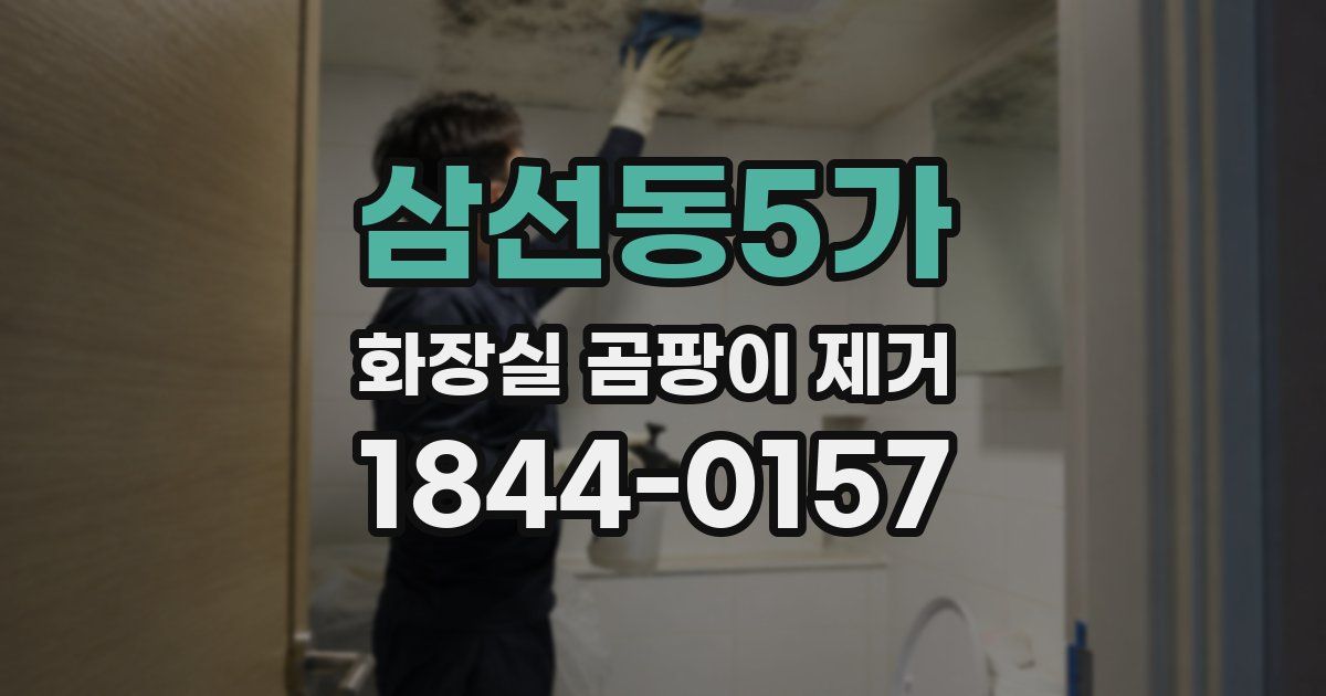 삼선동5가 화장실 곰팡이 제거