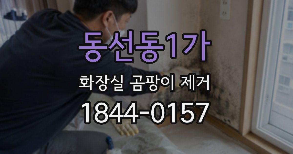 동선동1가 화장실 곰팡이 제거