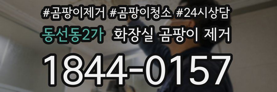동선동2가 화장실 곰팡이 제거