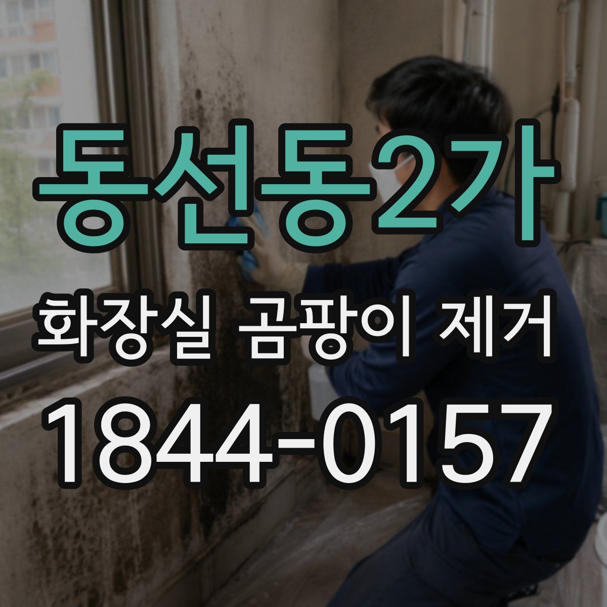 동선동2가 화장실 곰팡이 제거