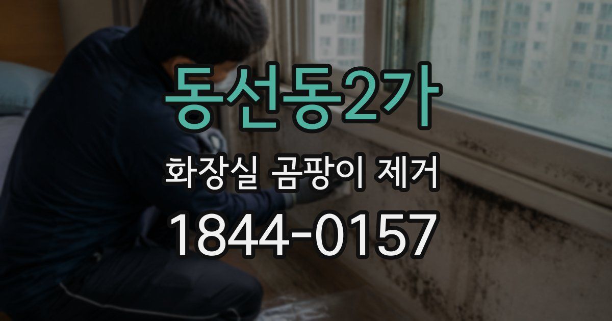 동선동2가 화장실 곰팡이 제거