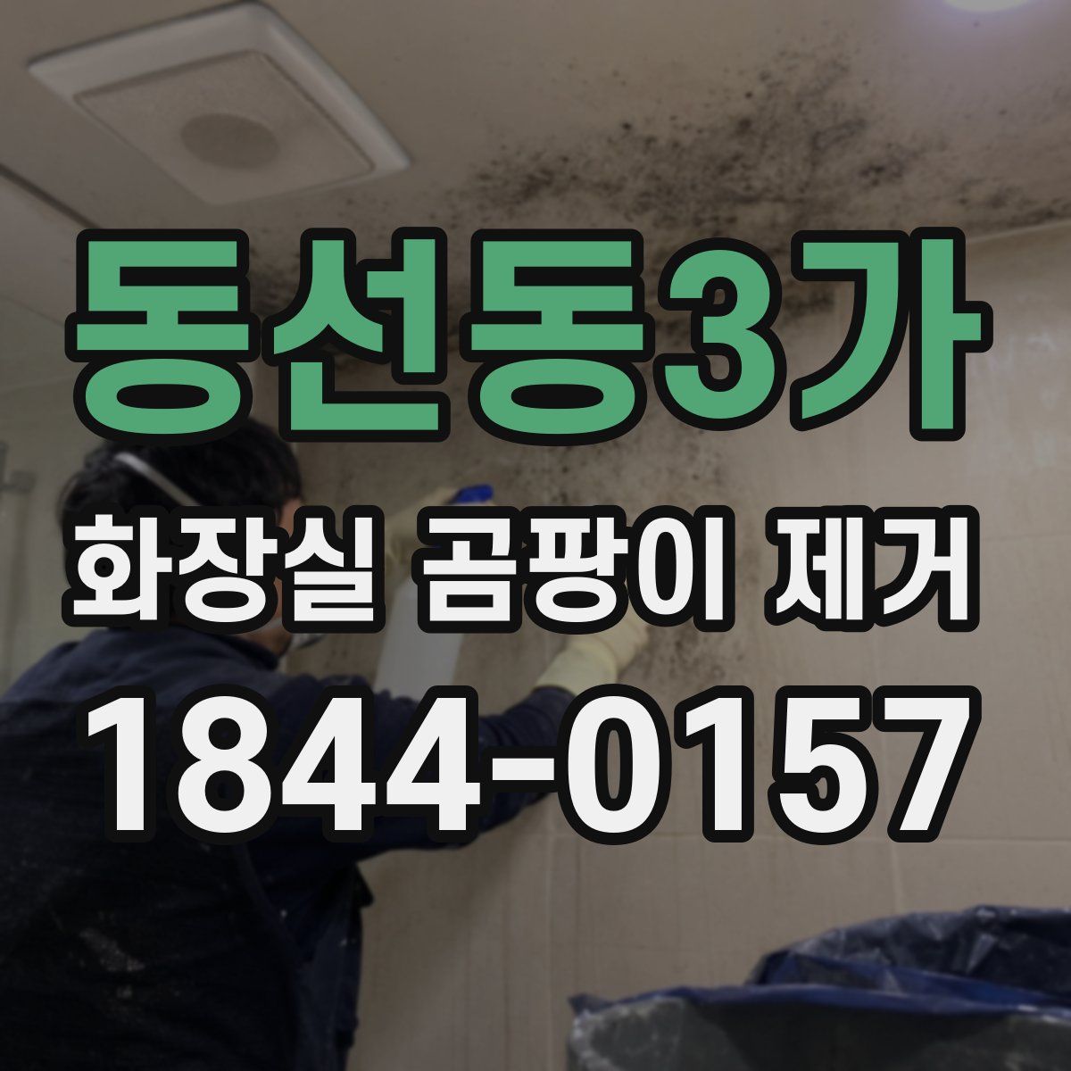 동선동3가 화장실 곰팡이 제거