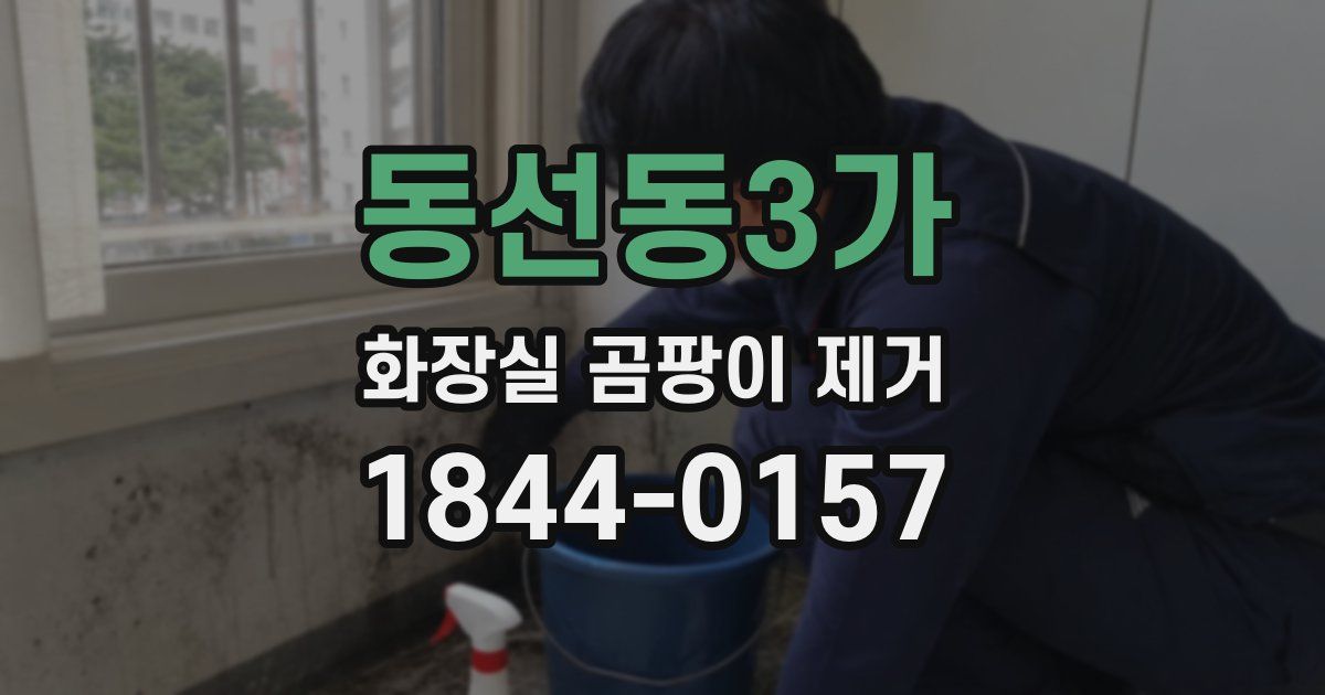 동선동3가 화장실 곰팡이 제거
