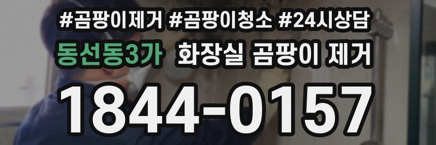 동선동3가 화장실 곰팡이 제거
