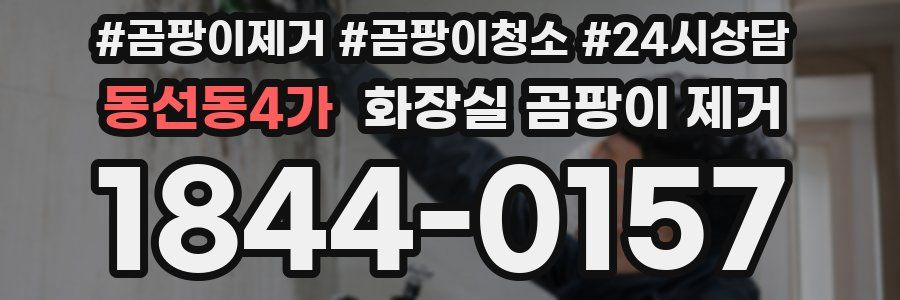 동선동4가 화장실 곰팡이 제거