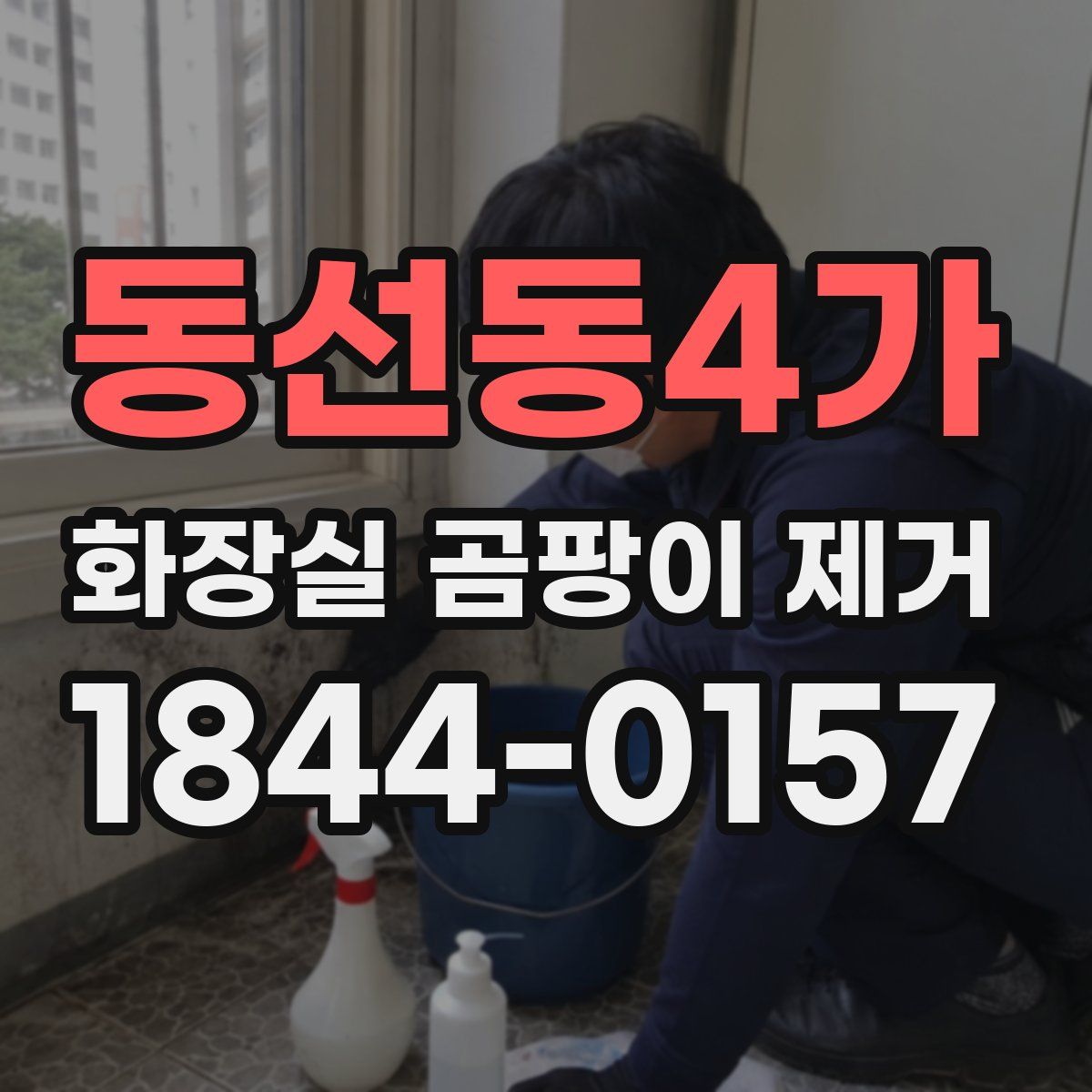 동선동4가 화장실 곰팡이 제거