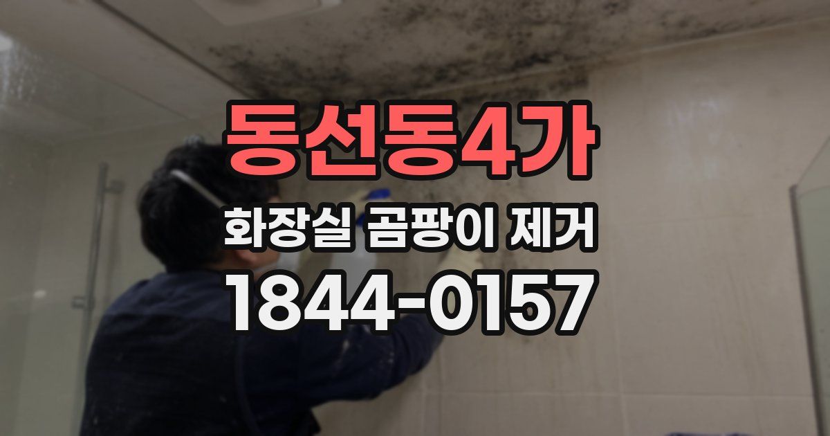 동선동4가 화장실 곰팡이 제거