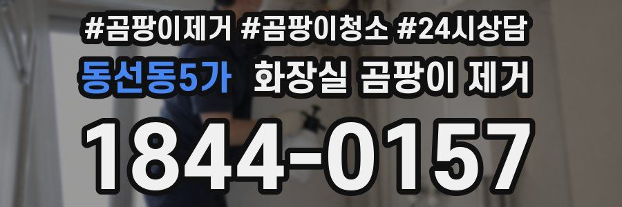 동선동5가 화장실 곰팡이 제거