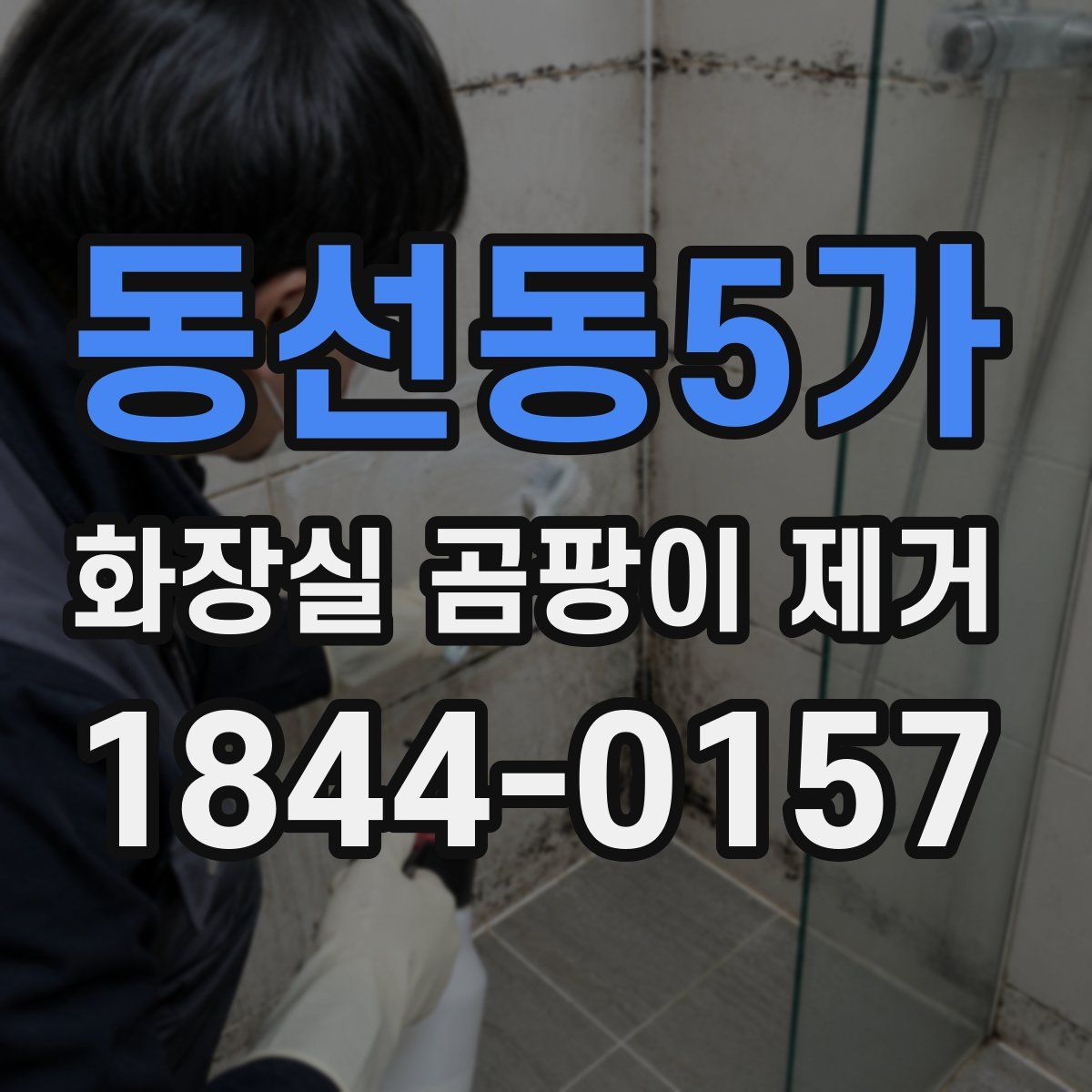 동선동5가 화장실 곰팡이 제거