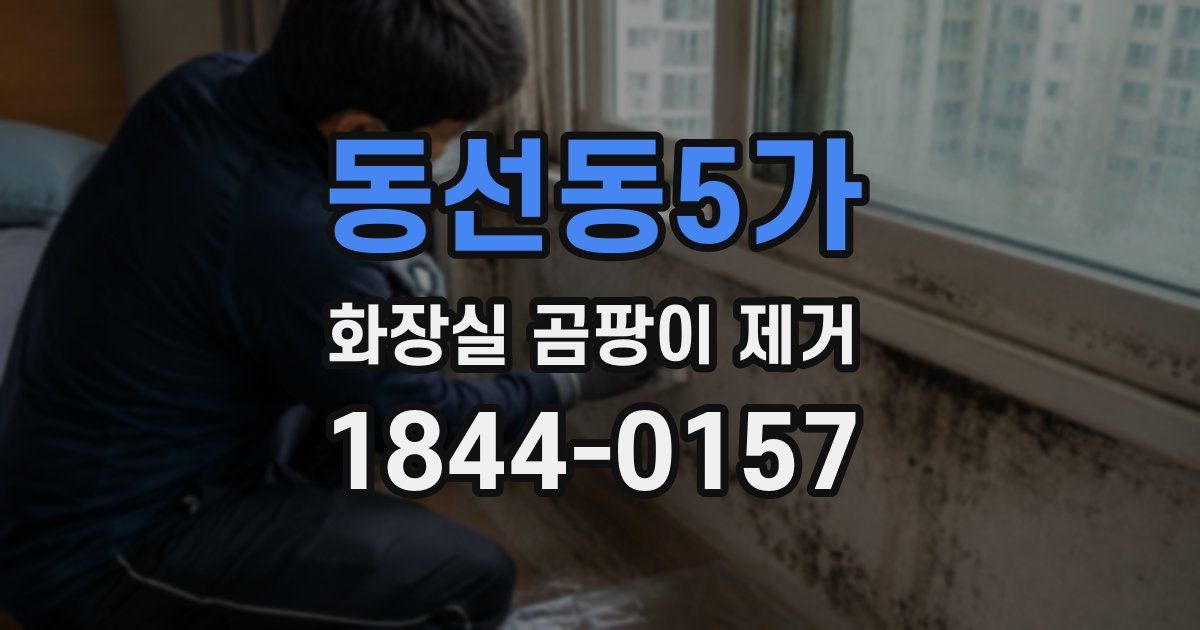 동선동5가 화장실 곰팡이 제거