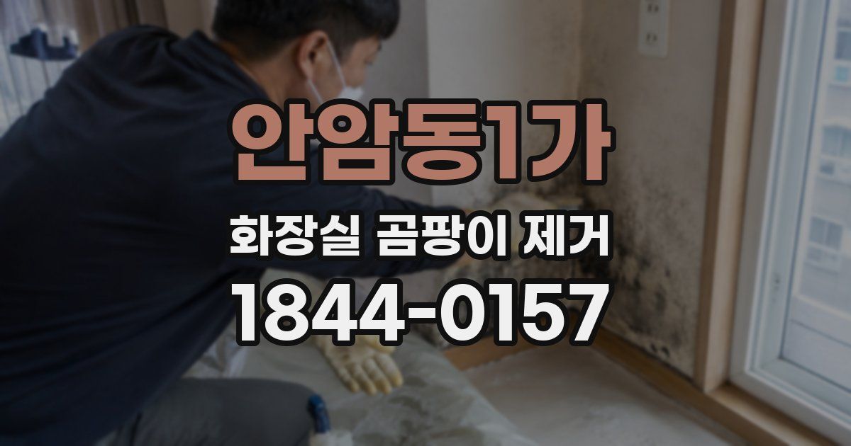 안암동1가 화장실 곰팡이 제거
