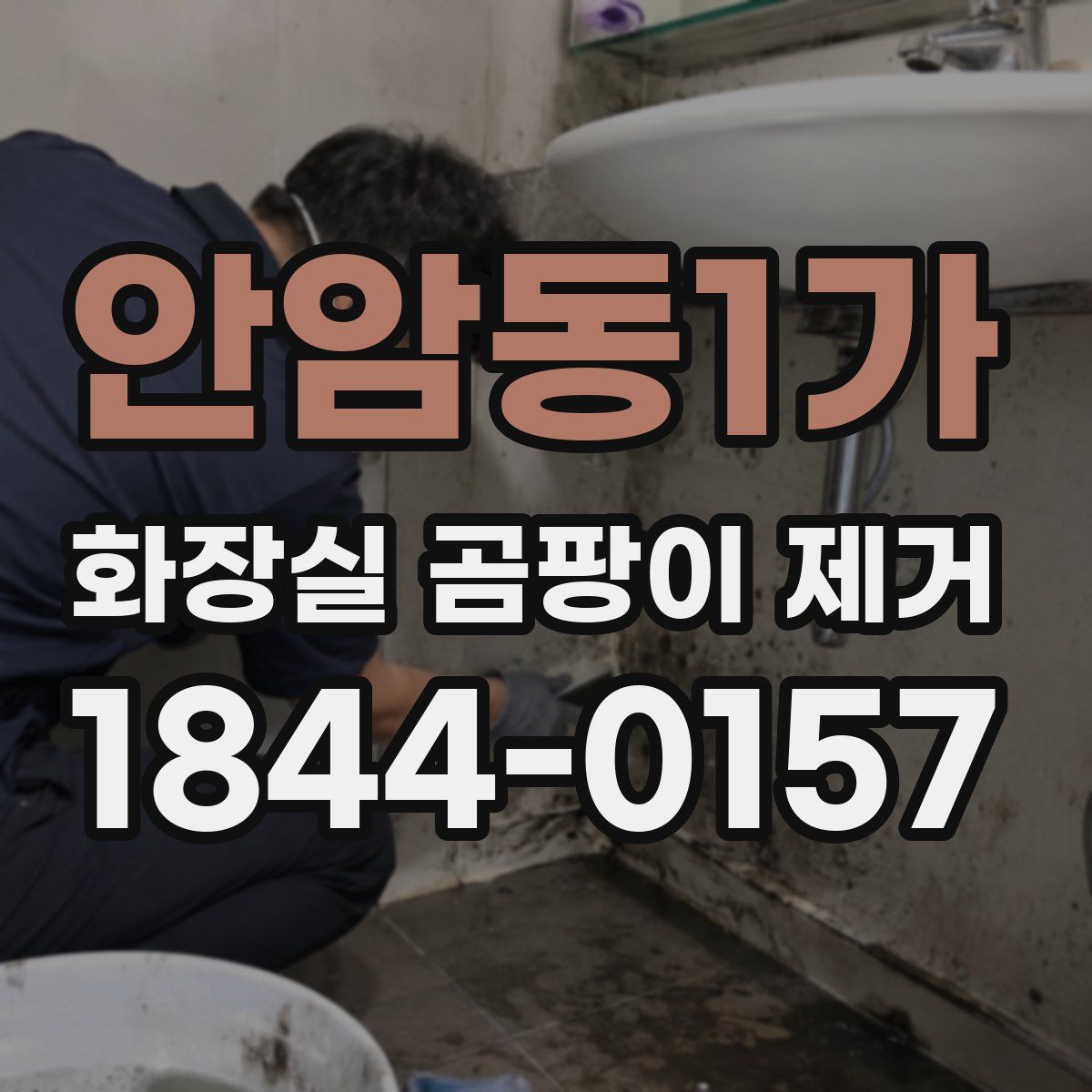 안암동1가 화장실 곰팡이 제거