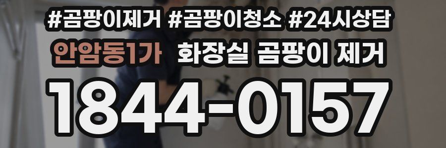 안암동1가 화장실 곰팡이 제거