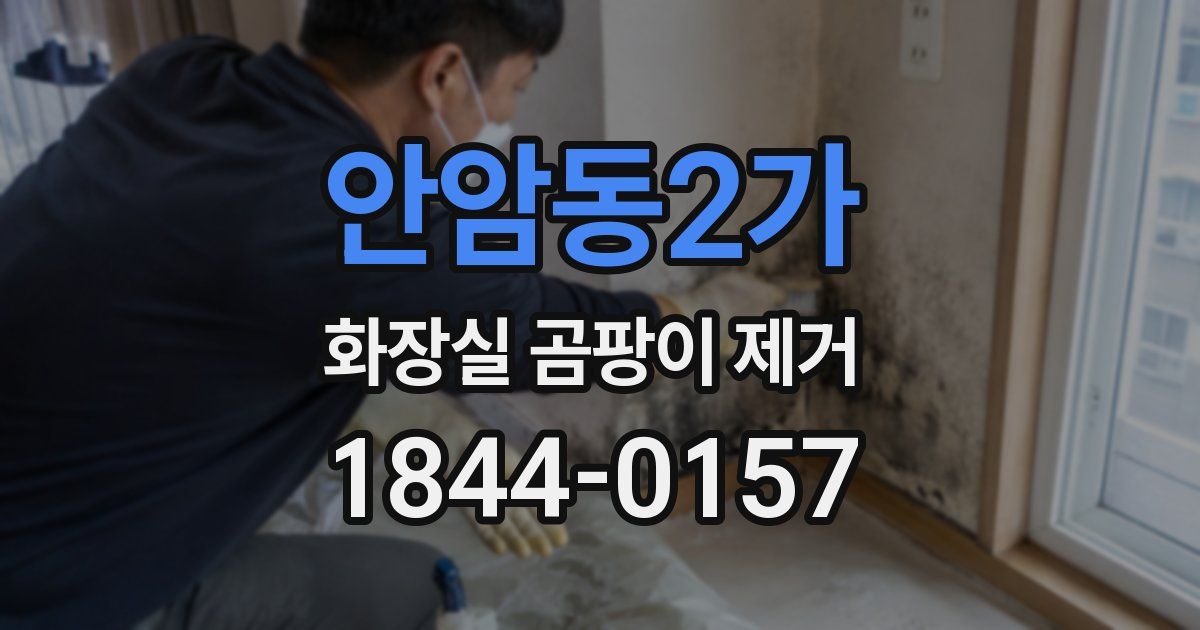 안암동2가 화장실 곰팡이 제거