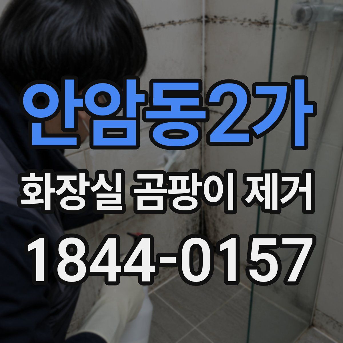 안암동2가 화장실 곰팡이 제거
