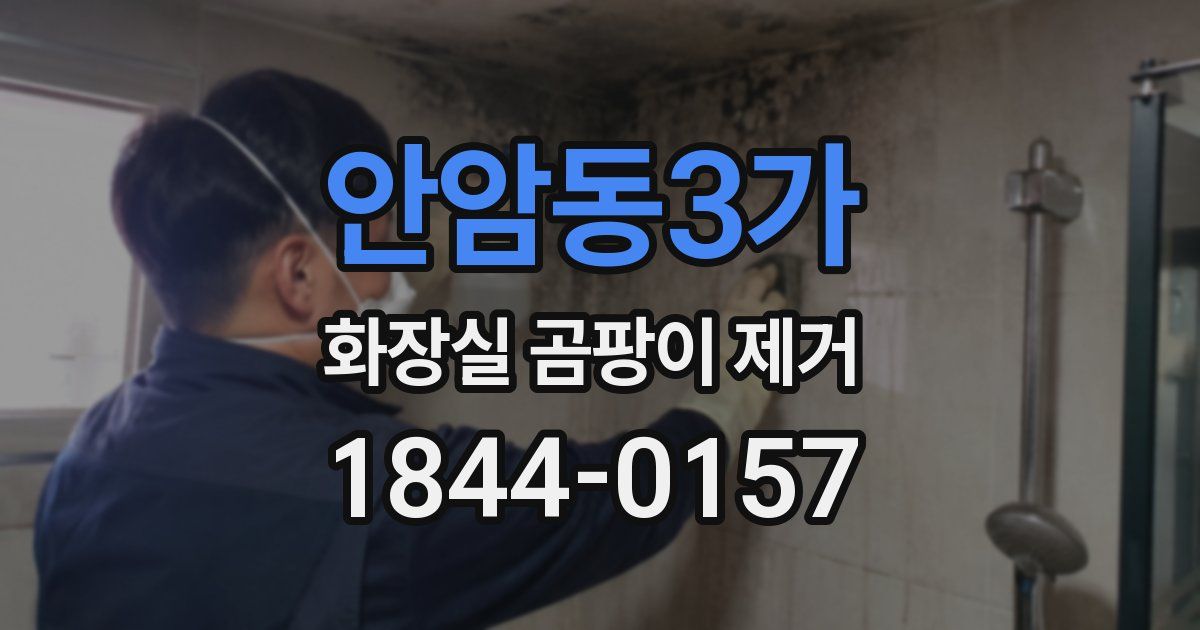 안암동3가 화장실 곰팡이 제거