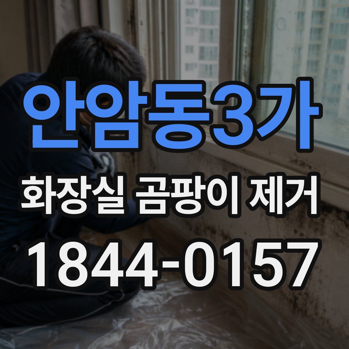 안암동3가 화장실 곰팡이 제거