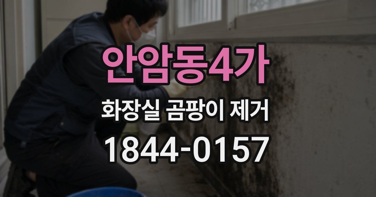 안암동4가 화장실 곰팡이 제거