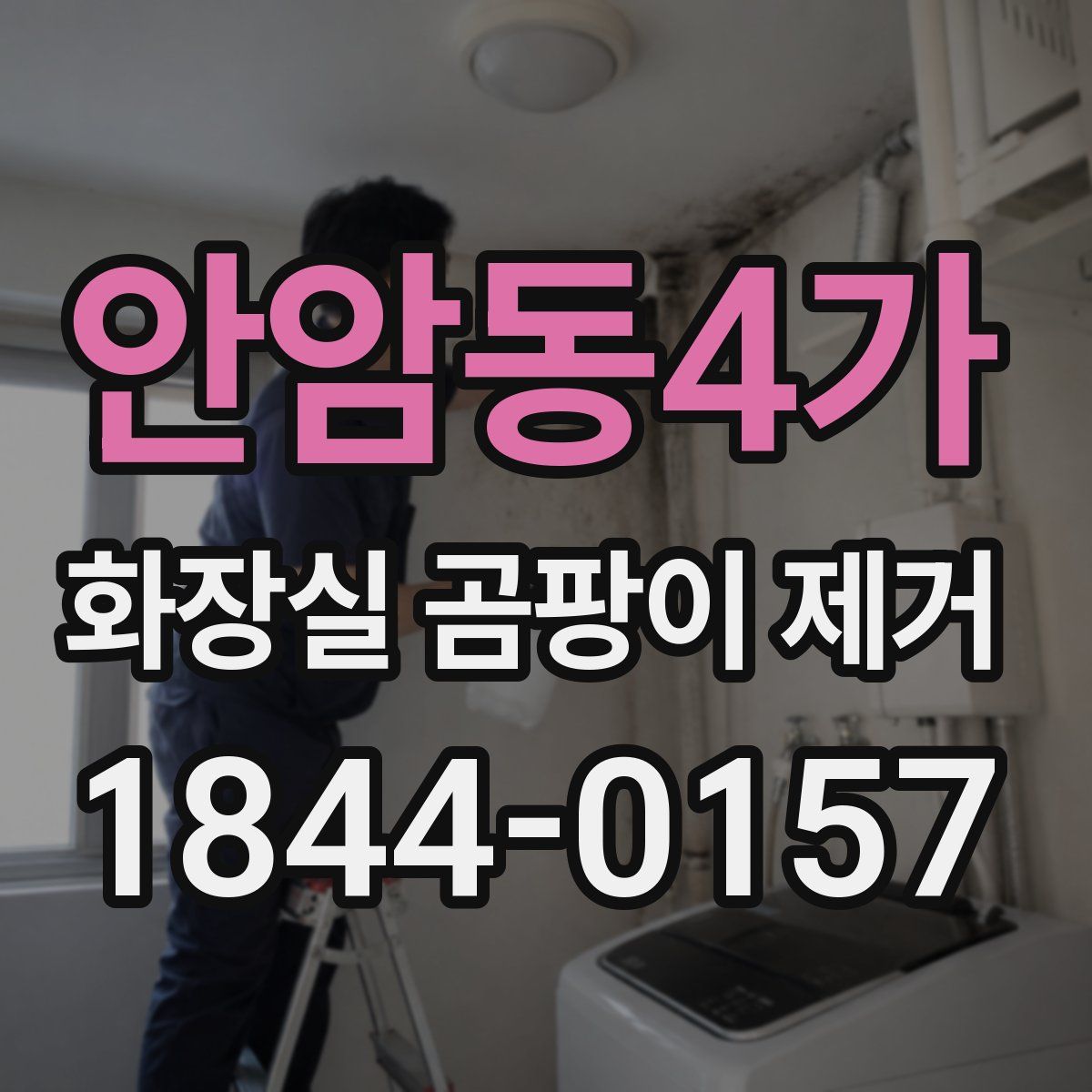 안암동4가 화장실 곰팡이 제거