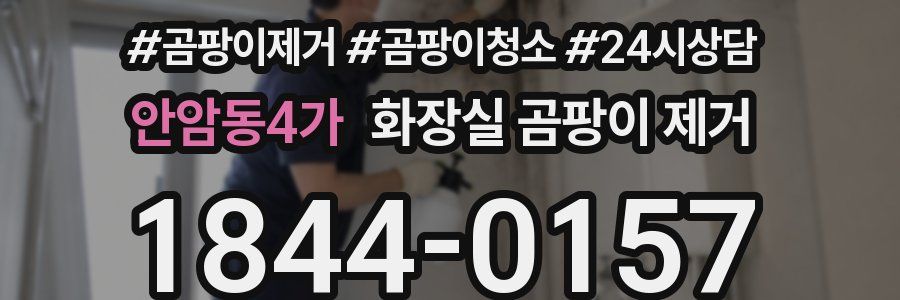 안암동4가 화장실 곰팡이 제거