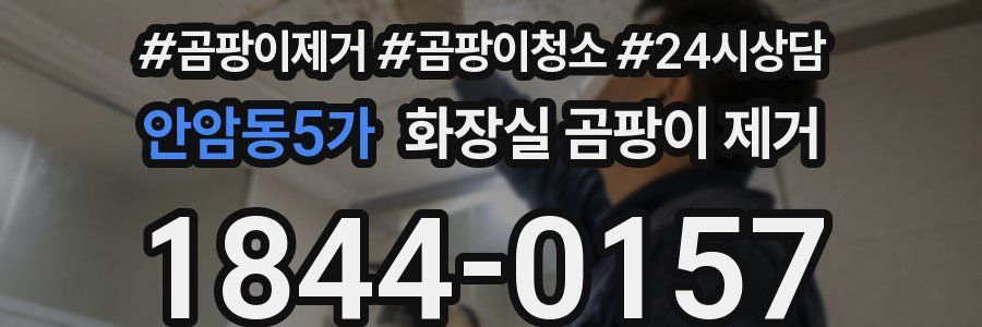 안암동5가 화장실 곰팡이 제거