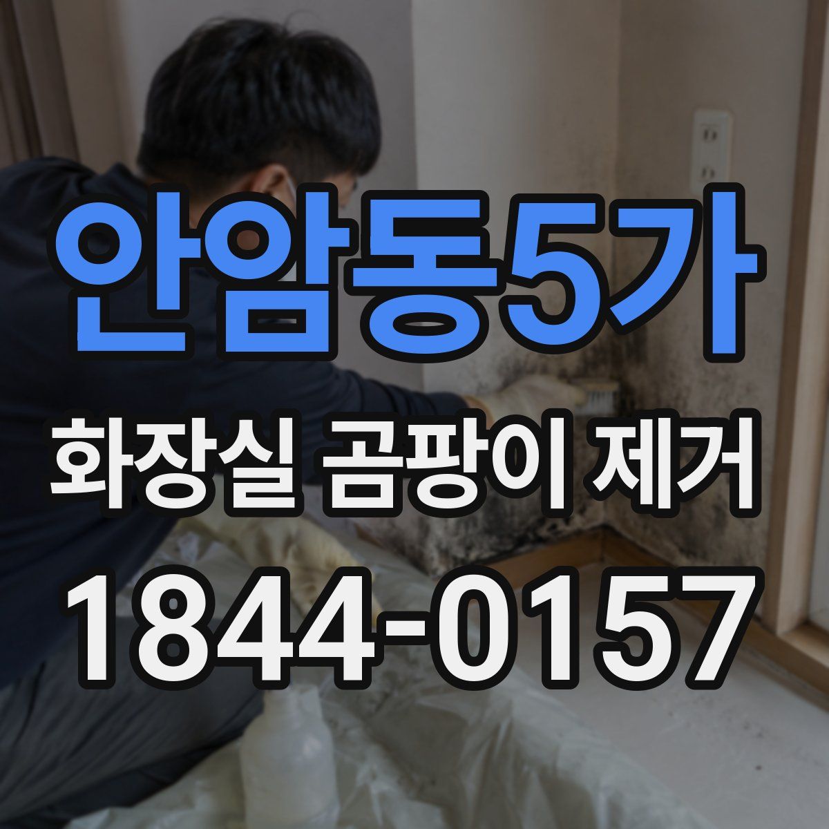 안암동5가 화장실 곰팡이 제거