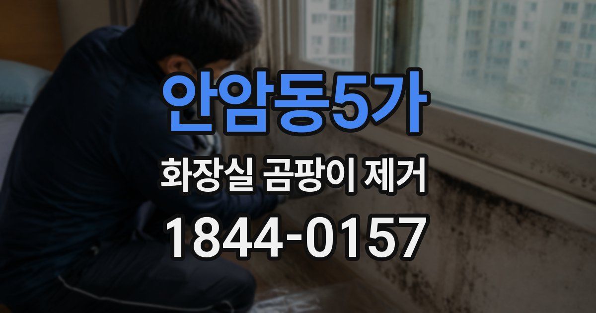 안암동5가 화장실 곰팡이 제거