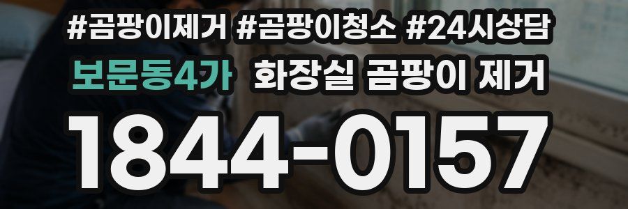 보문동4가 화장실 곰팡이 제거