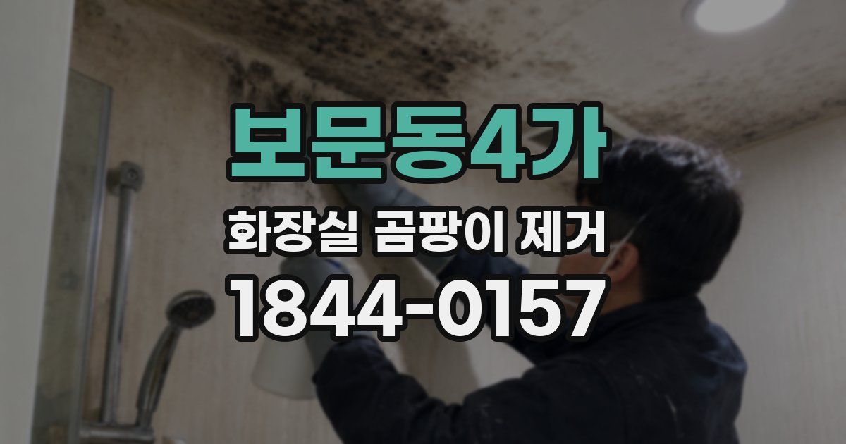 보문동4가 화장실 곰팡이 제거