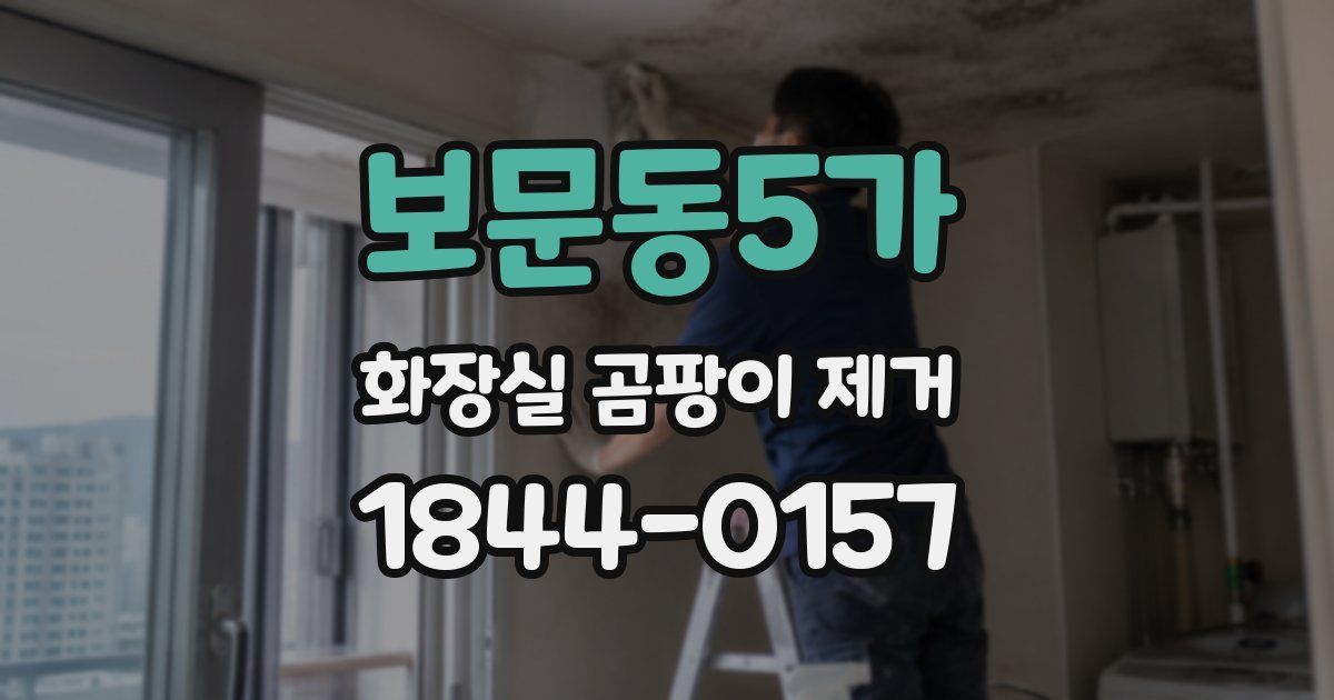보문동5가 화장실 곰팡이 제거